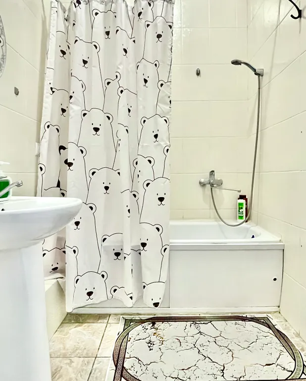 Уютная квартира в центре столицы