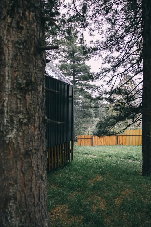 Уютный домик в кедровом лесу