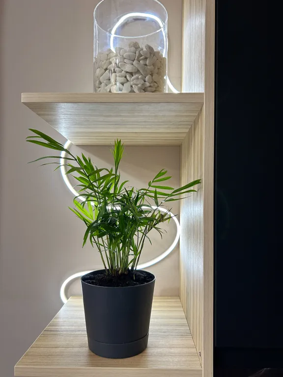 Студия Тerakot