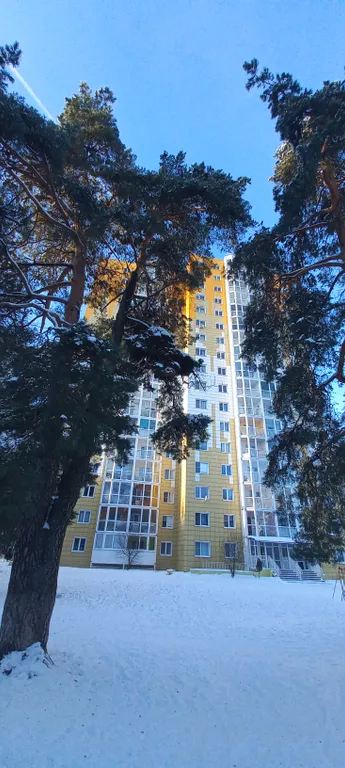 Апартаменты в сосновой роще