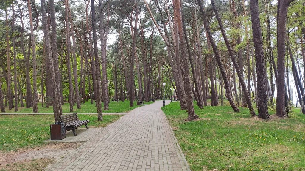 Квартира в городе Пионерском в 100 метрах от городского пляжа