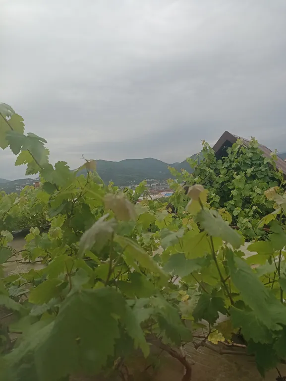 Уютный дом с видом на горы