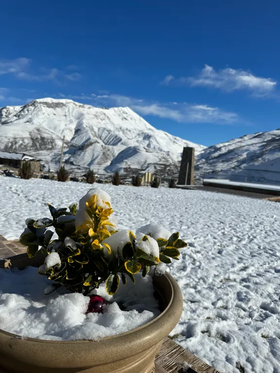 Вилла Sky Home Fiagdon