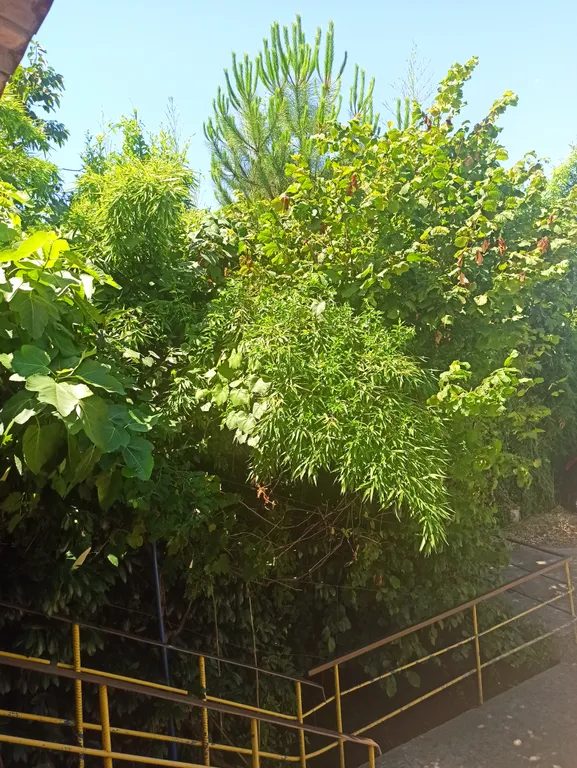 Сочи,недорогая 1ком. квартира,до пляжа Куба 10мин, кондиционер