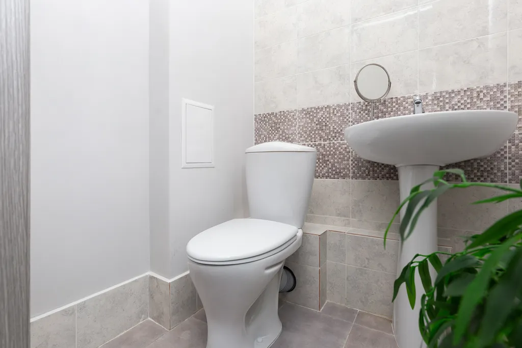 Квартира 3-комнатная квартира — Новосибирск