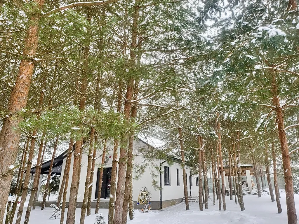 Уютный дом в лесу на 3 семьи