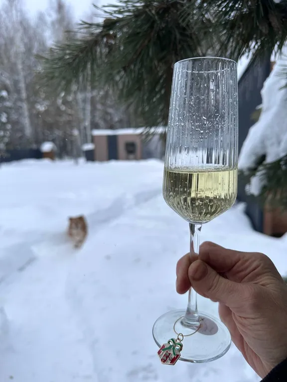 Домик с баней в лесу