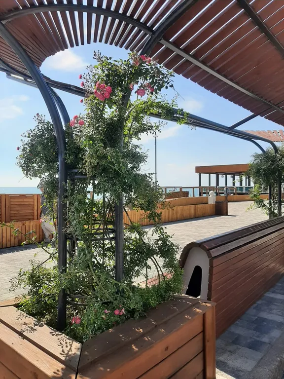 Квартира Квартира для отдыха с семьей, друзьями или парой — Адлер