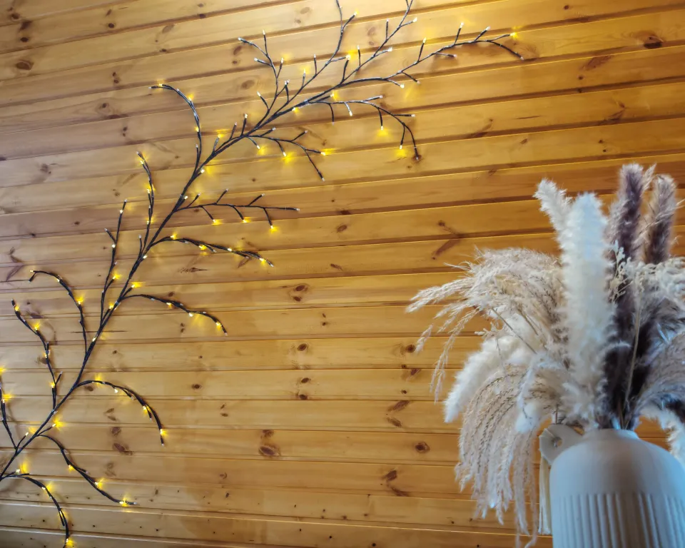 Дом с баней и бассейном