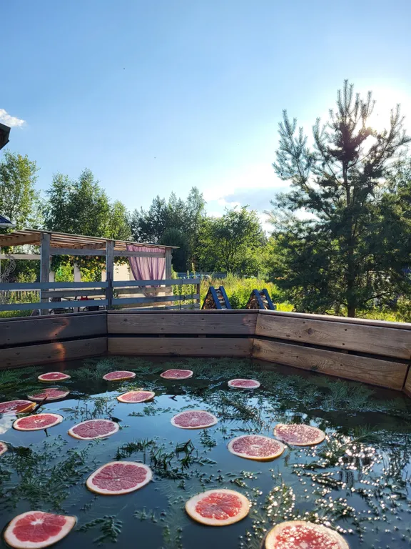 Дом Фламинго