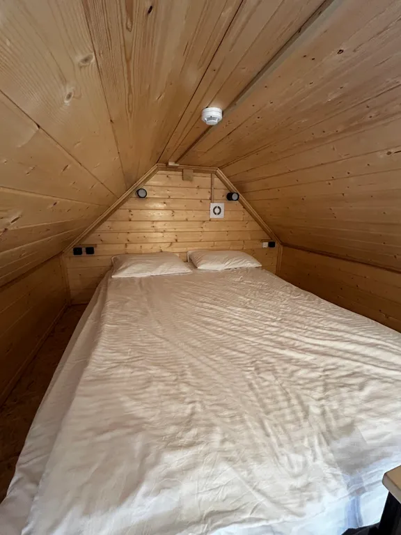 Багульник на первой линии озера Байкал