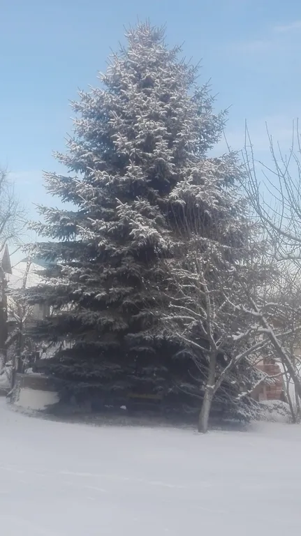 Усадьба на берегу реки