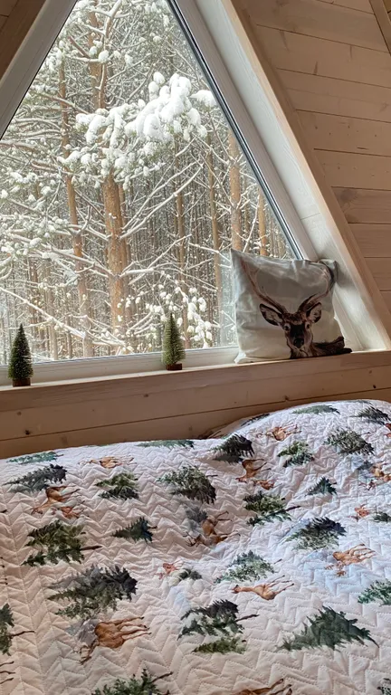 Дом с чаном среди соснового леса