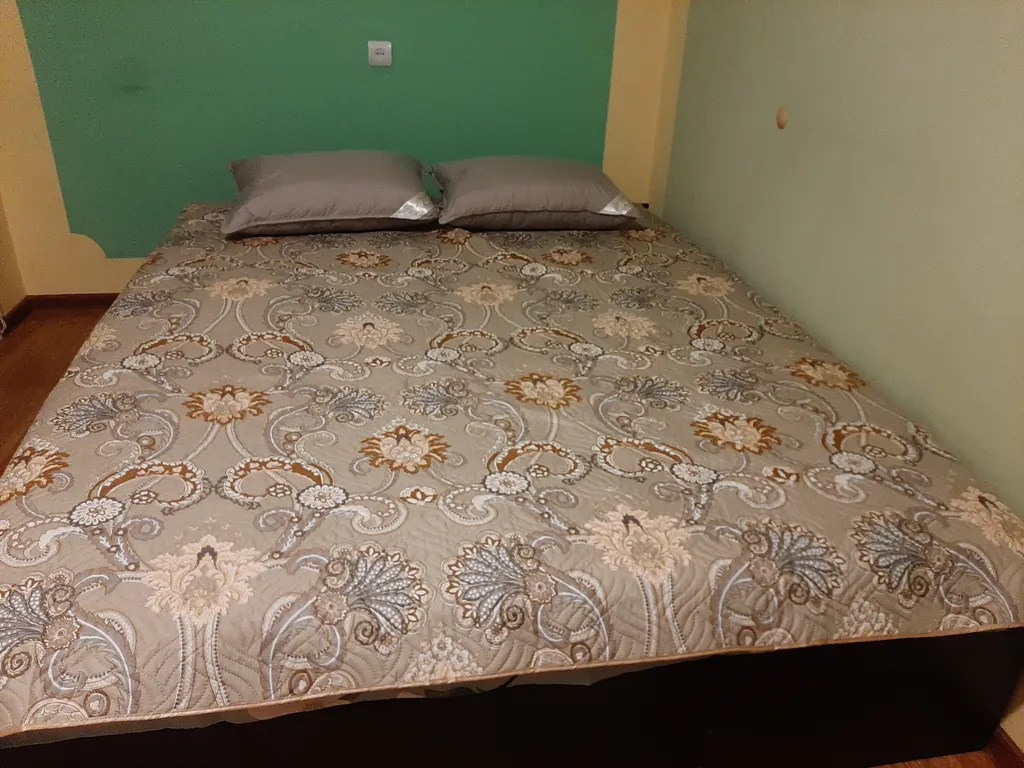 Квартира в центре города у Нижнего пруда - исторический центр