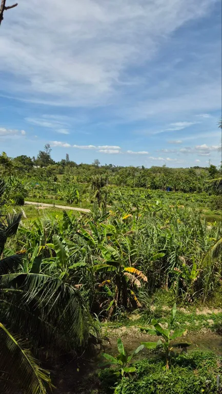 Идеальный вариант студии на Пхукете PB325