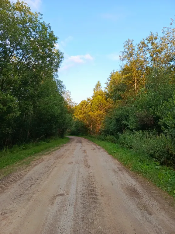 Коттедж Домик в деревне — Ярославль