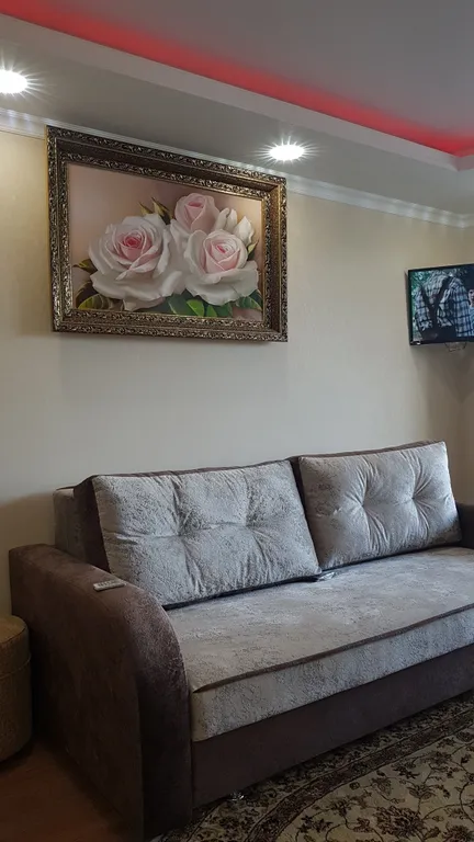 Уютная квартира в центре города