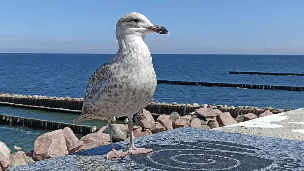 Уютная квартира в жилом районе, рядом с бассейном, магазинами и остановкой