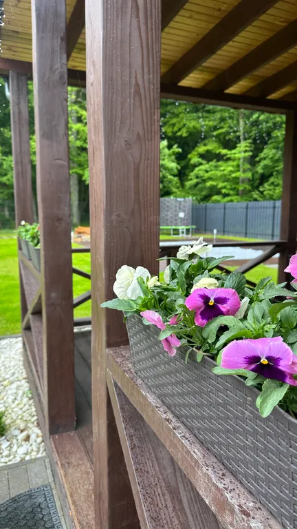 Дом в лесу с баней и бассейном