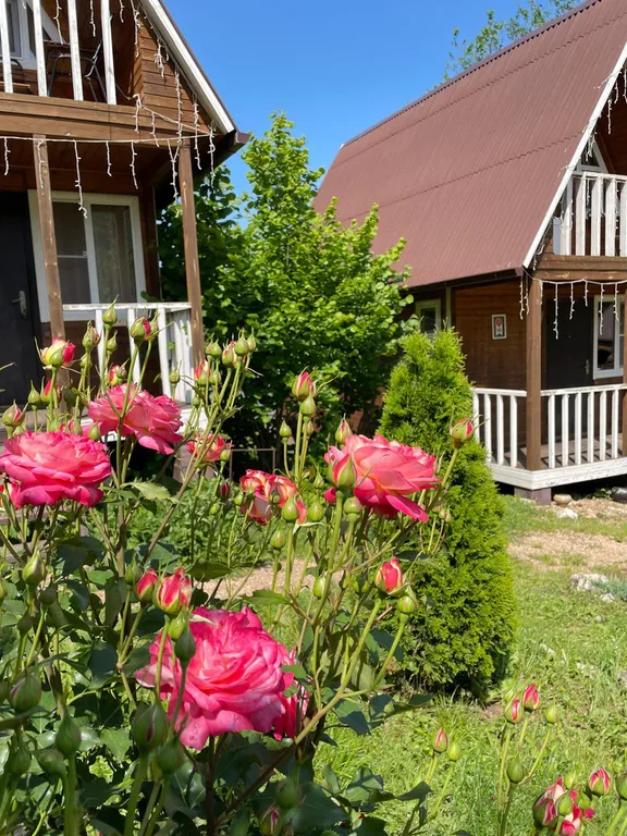 Домик у леса