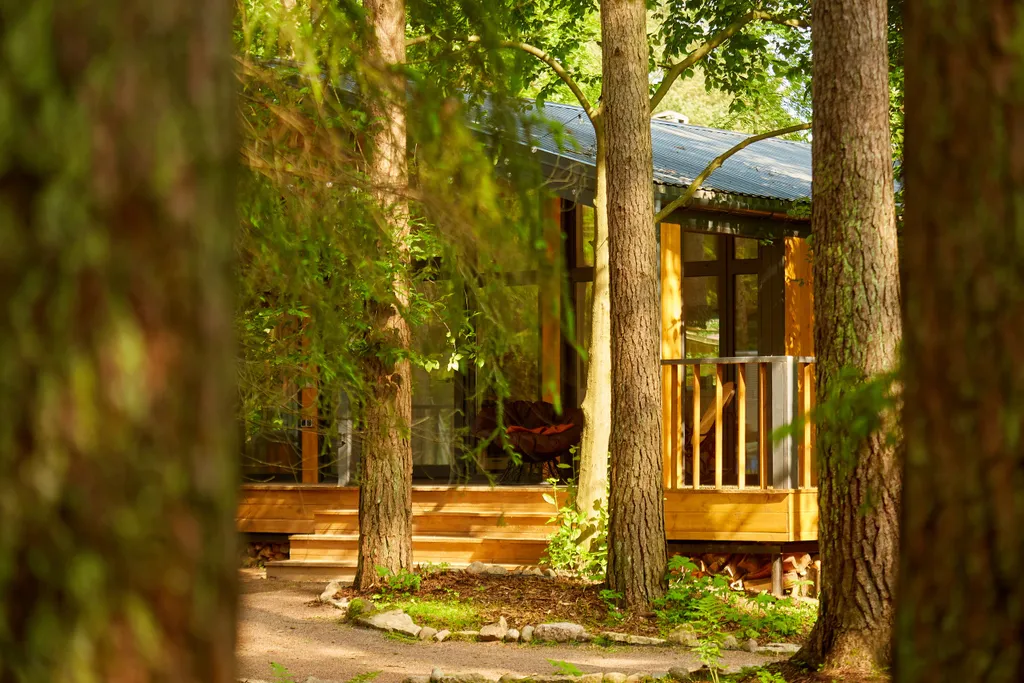 Для тебя, для семьи и друзей большая дача в сосновом лесу в Репино