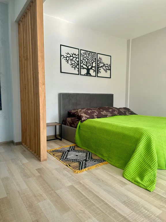 Студия в центре города