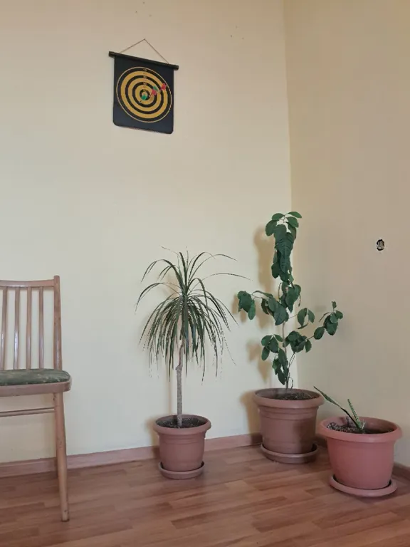 Уютный дом для ярких мгновений