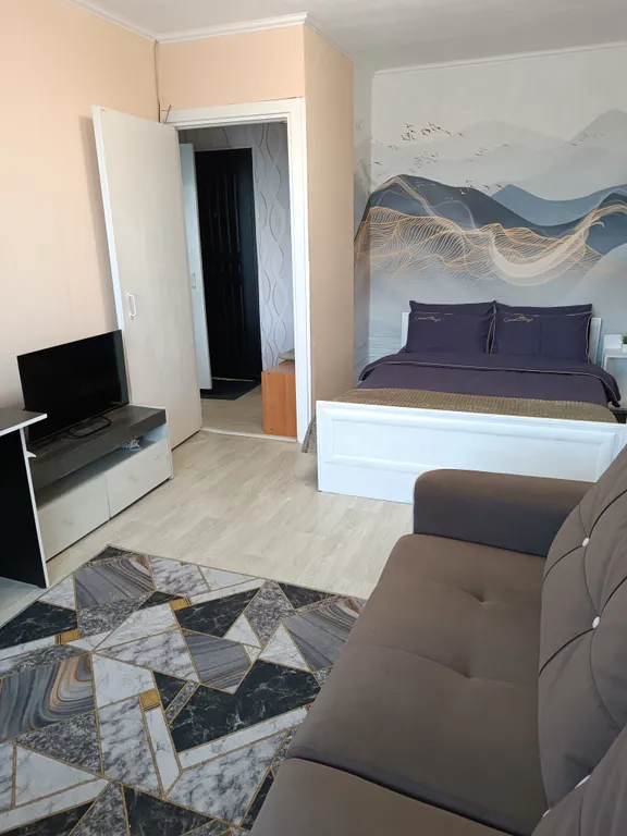 Уютная однокомнатная квартира