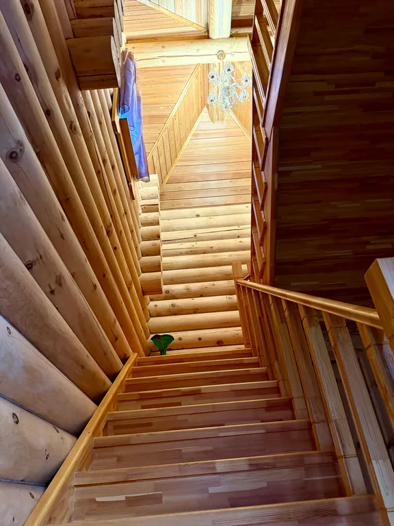 Котедж в заповедном лесу