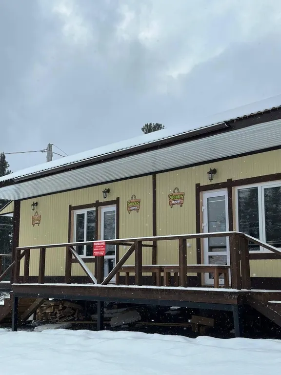 Уютный дом на улице Свободной