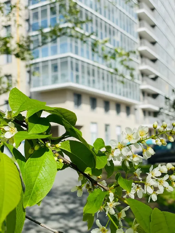 Апартамент с видом на Онежское озеро