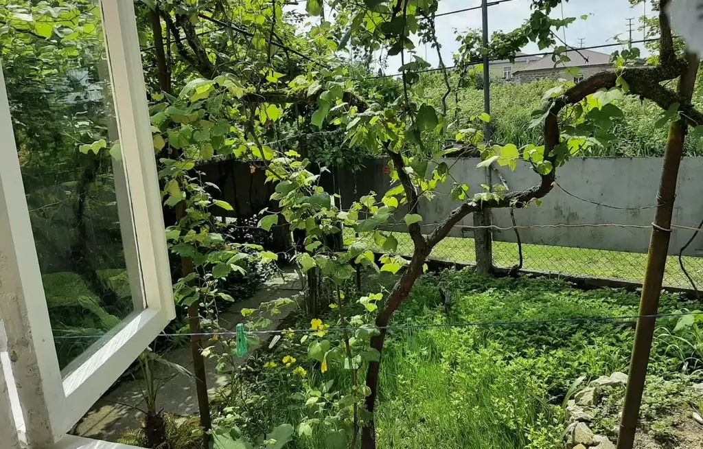 Дoмик с зеленым садом