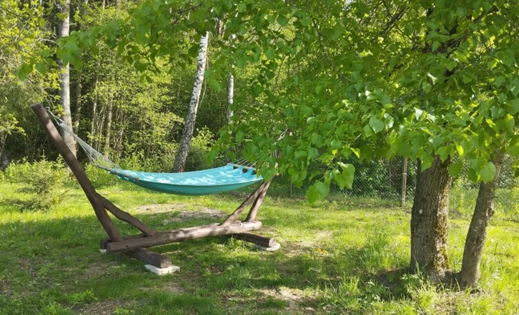 Хутор Избушка на опушке леса, возле реки