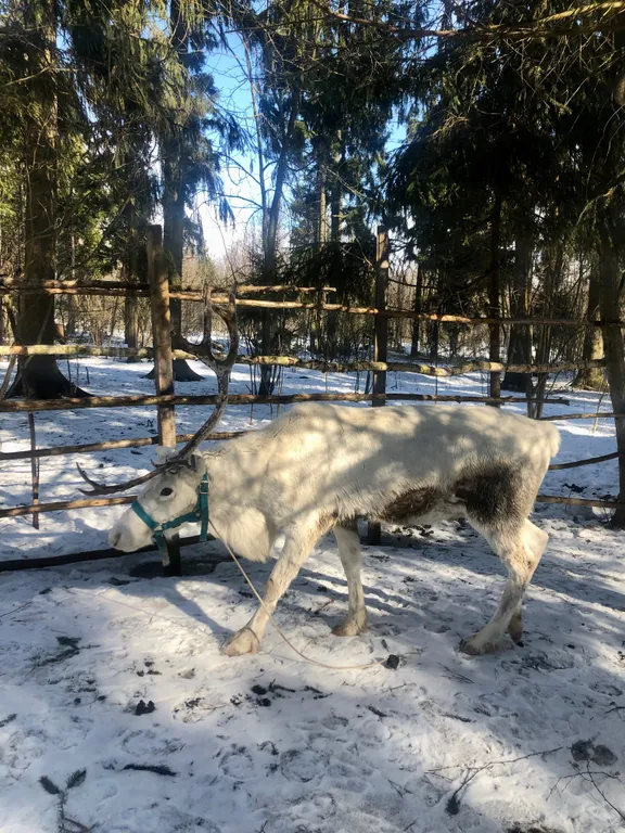 Уютный дом у Рузского водохранилища