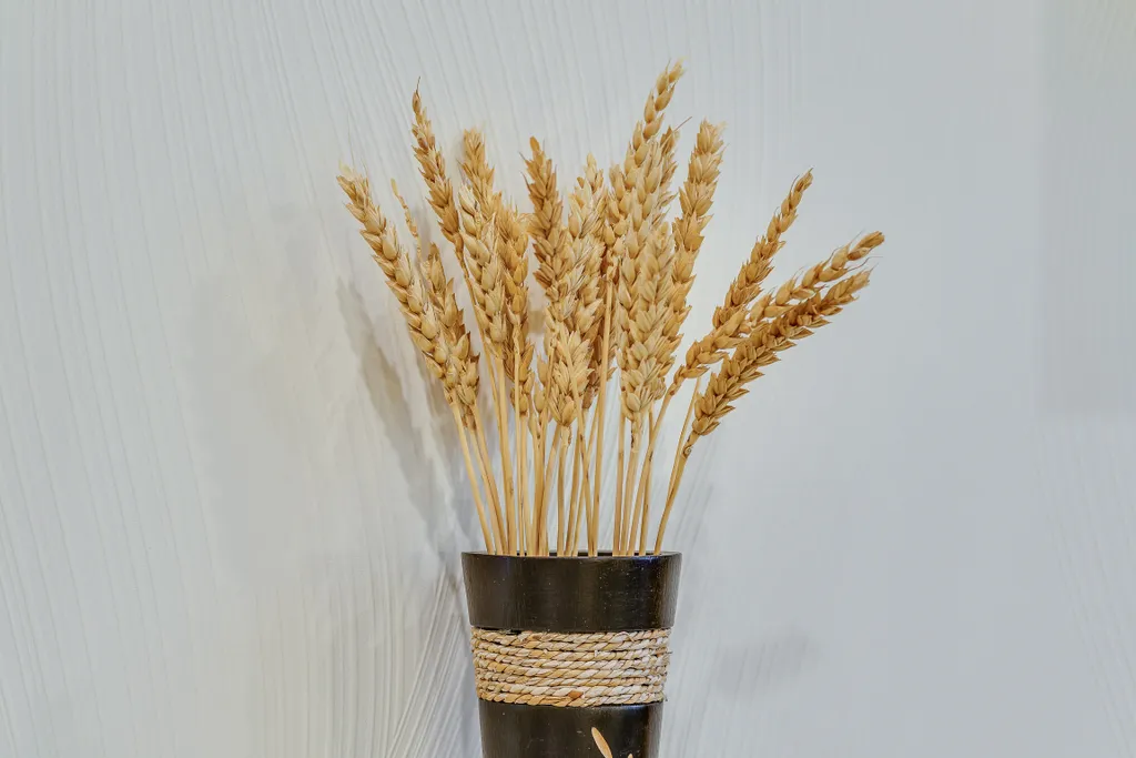 Квартира 1-комнатная Квартира — Санкт-Петербург