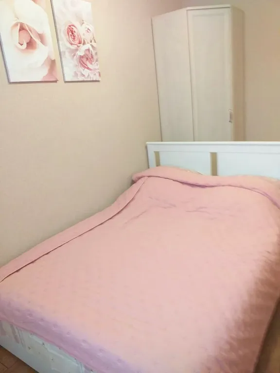 Благоустроенная квартира рядом с Курортным парком и питьевым бюветом