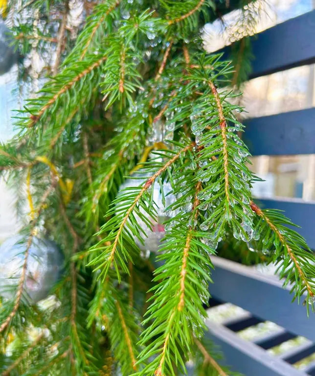 Коттедж Уютный дом — Ярославль