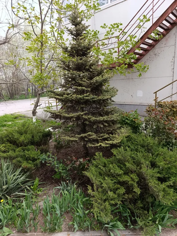 Уютная студия с отдельным входом на берегу моря