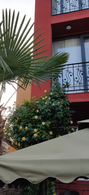 Апартамент с видом на достопримечательности