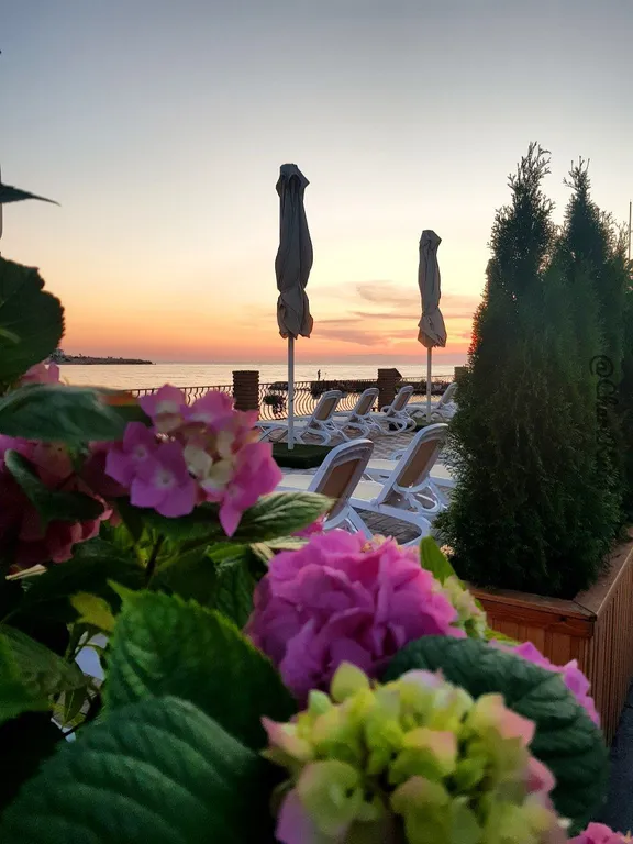 Квартира Апартаменты у моря в лучшем парке города — Севастополь