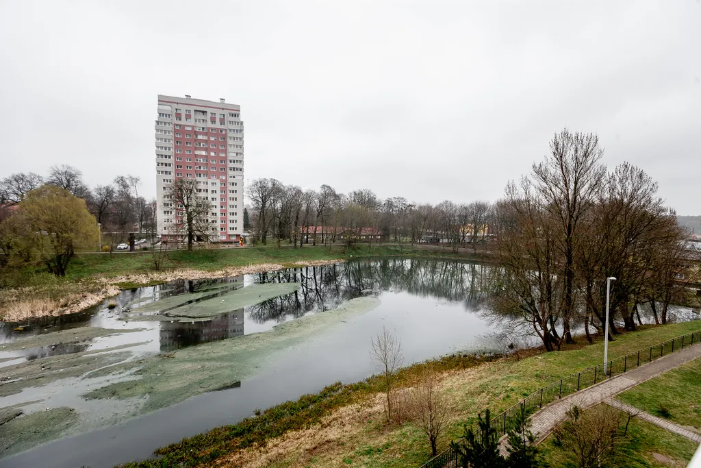 Квартира Уютная квартира недалеко от острова Канта — Калининград