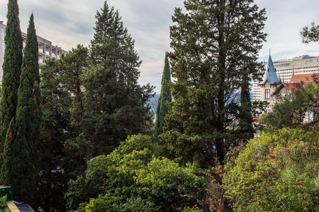 Очень теплый апартамент с открытым балконом, кухней, парковкой