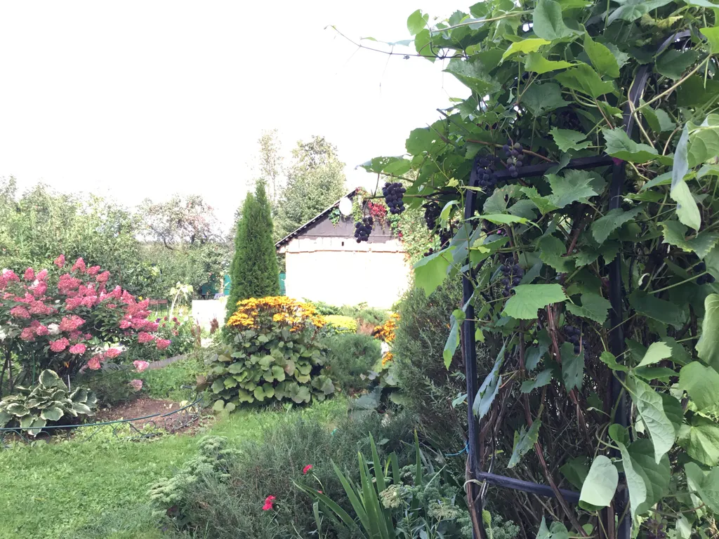 Коттедж Гостевой дом на Истринском водохранилище — Лопотово