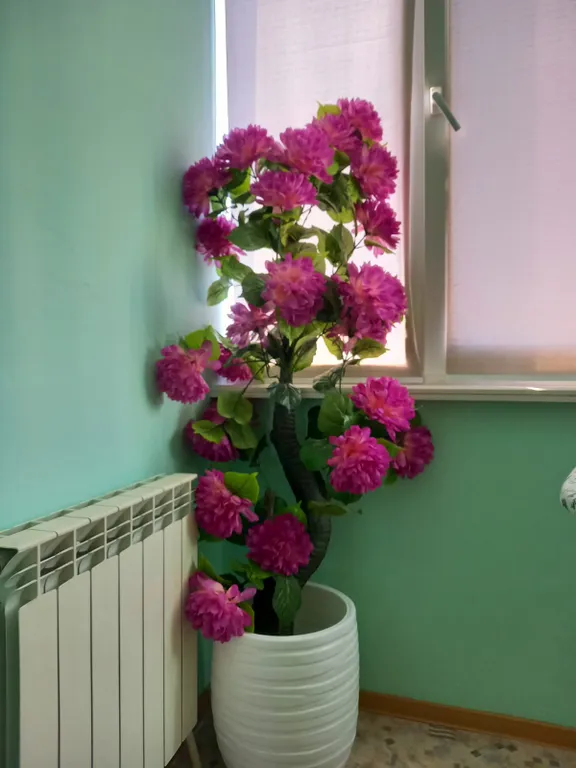 Звёздный оазис