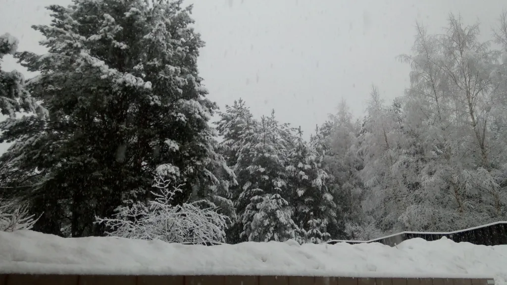 Домик с русской печкой и со всеми удобствами