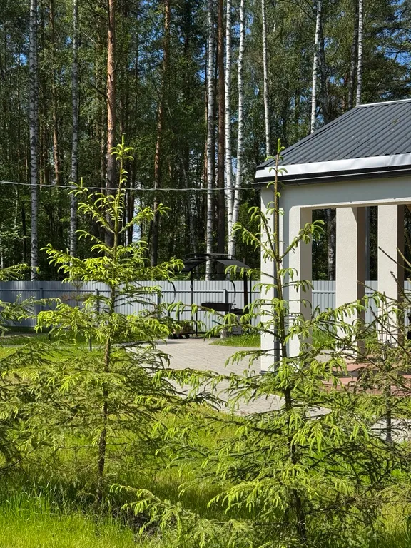 Коттедж Новый Коттедж с видом на лес и в трех минутах от изумрудного карьера — Мга