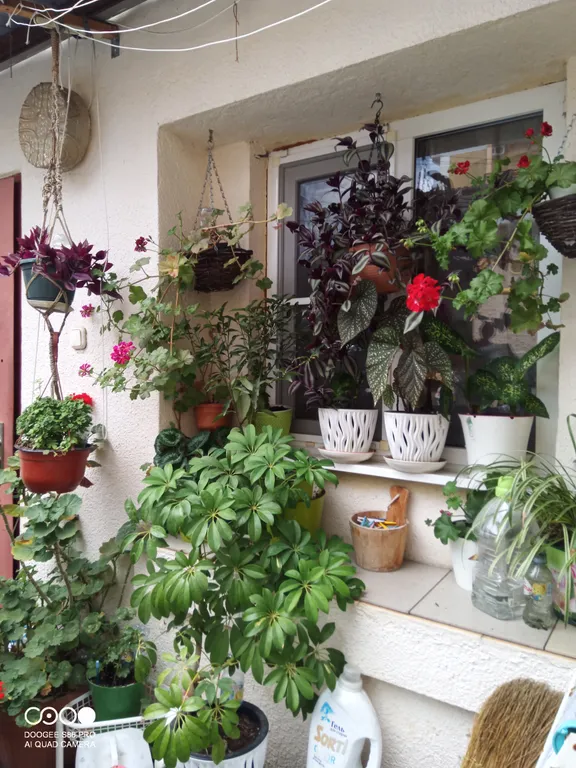 Коттедж Домик у моря — Адлер