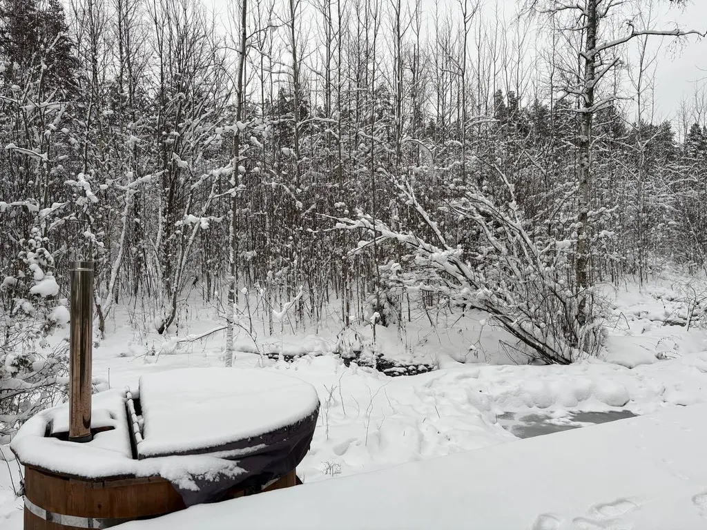 Уютный домик с сауной у леса