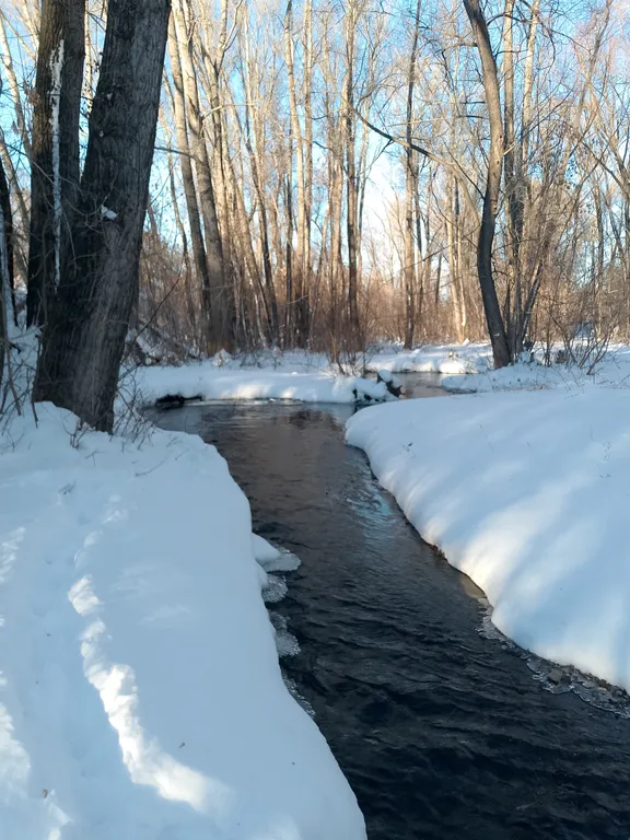 Большой дом с камином и новой баней
