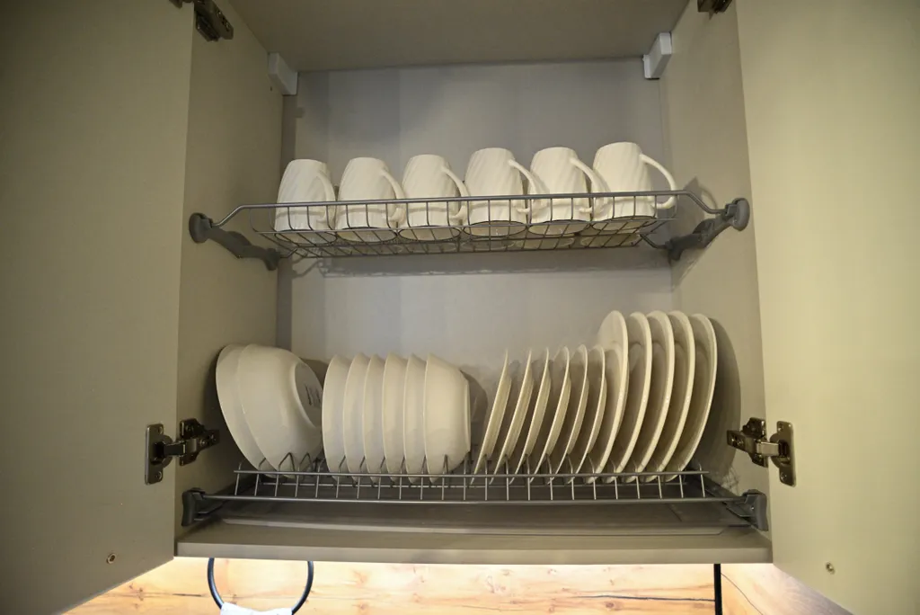 Роза Ветров